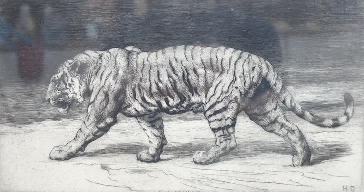 Herbert Dicksee RE (1862-1942), etching, 'A Bengal Tiger', artist's proof, signed in pencil, blindstamped, limited to 100, published by Frost & Reed, Ltd., Bristol & London, 1915, 21 x 36cm. Condition - good